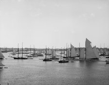 N.Y.Y.C. Fleet, Newport Harbor, August 11, 1888, 1888 Aug 11. Creator: Unknown.