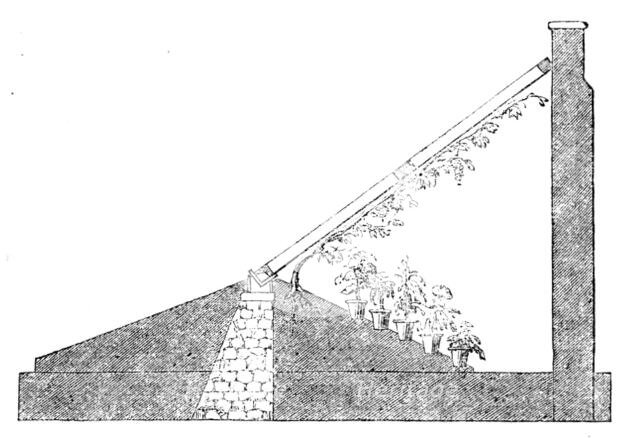 The International Exhibition: section of a Paxton lean-to vinery, 1862. Creator: Unknown.