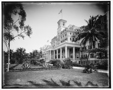 The Royal Poinciana, Palm Beach, Florida, c1902. Creator: William H. Jackson.