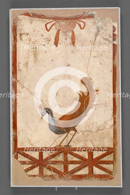 Wall Fragment with a Peacock, about 1911. Creator: Unknown.
