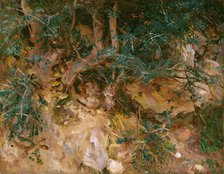 Valdemosa, Majorca: Thistles and Herbage on a Hillside, 1908. Creator: John Singer Sargent.