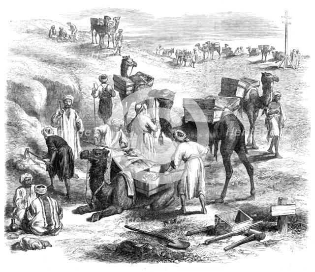The Isthmus of Suez Maritime Canal: workmen loading dromedaries, 1869. Creator: Unknown.
