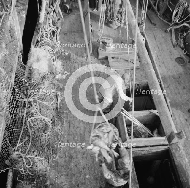 Dock stevedores at the Fulton fish market sending up baskets of fish..., New York, 1943. Creator: Gordon Parks.
