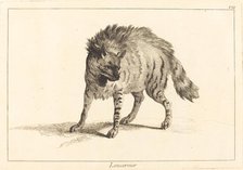 Loucervier (Hyena). Creator: Jacques Philippe Le Bas.