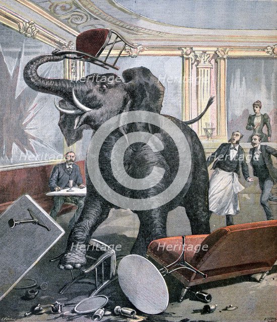 A elephant in the Pre-Catalan Café, Toulouse, France, 1891. Creator: Henri Meyer.