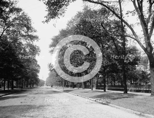 Euclid Avenue, Cleveland, Ohio, c1900. Creator: Unknown.