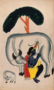 Krishna milking a cow while the calf looks. Creator: Unknown.