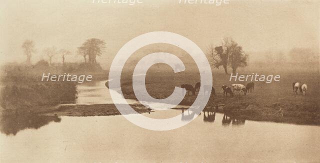 Sheep on the Marshes [Landscape with Cattle], 1890-1891, printed 1893. Creator: Dr Peter Henry Emerson.