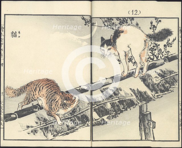 Cats. From the series Inakanotsuki, 1889.