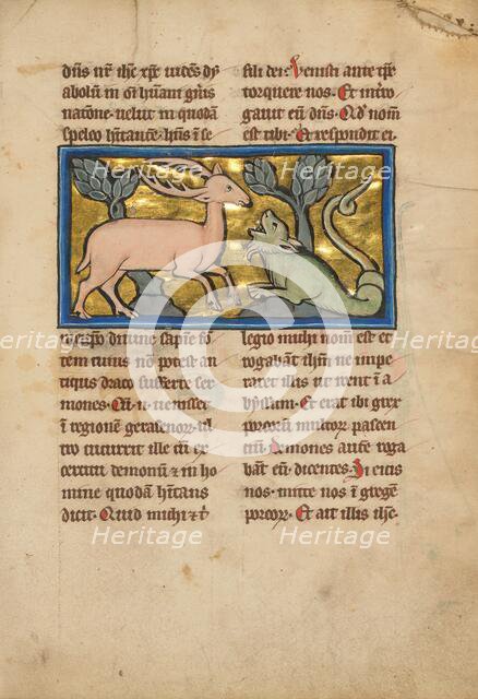 A Stag before a Dragon-like Snake; De Natura Avium; De Pastoribus et Ovibus, 1277 or after. Creator: Unknown.