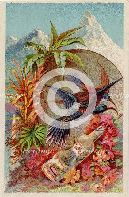 Murray & Lanman’s Florida Water, 19th century. Artist: Unknown