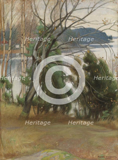 Sallow in Autumn, 1907. Creator: Pekka Halonen.