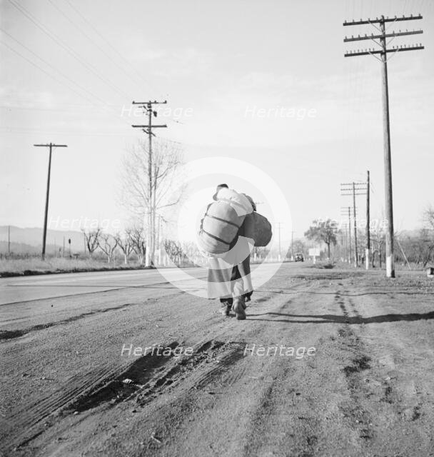 More than twenty-five years a bindle-stiff..., Napa Valley, California, 1938. Creator: Dorothea Lange.