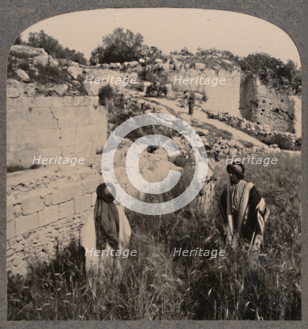 'Walls of Augustus, Samaria', c1900. Artist: Unknown.