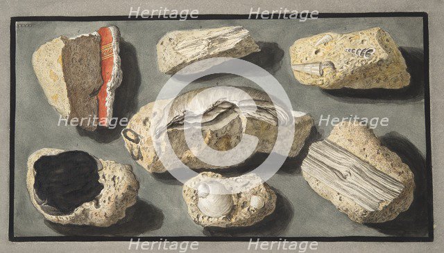 Specimens of Tufa found in and around Herculaneum, 1776.