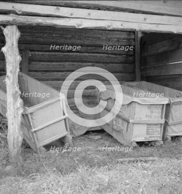 Tobacco sleds newly covered with tow sacks, ready for...tobacco, Person County, North Carolina, 1939 Creator: Dorothea Lange.
