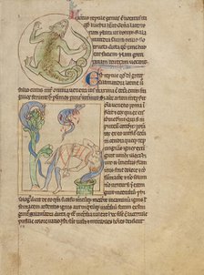 A Lizard; Salamanders; Northumberland Bestiary, about 1250-1260. Creator: Unknown.