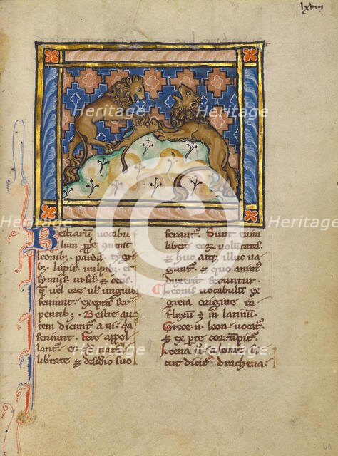 Two Lions; Bestiary, about 1270. Creator: Unknown.