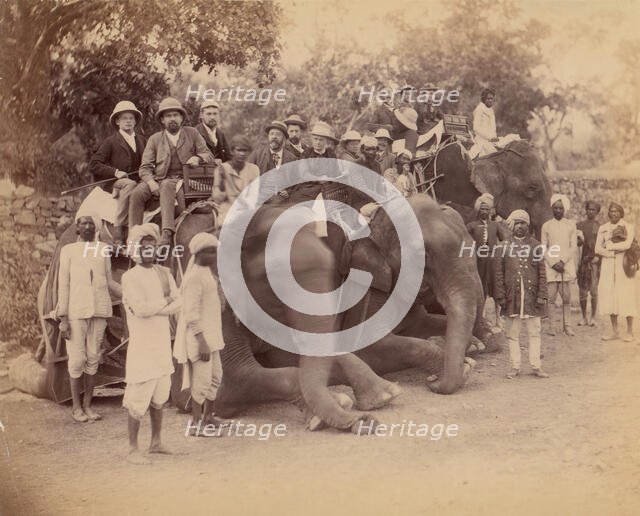 Elephant Group, 1860s-70s. Creator: Unknown.