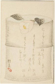 Camellia, 1870. Creator: Shokyo.