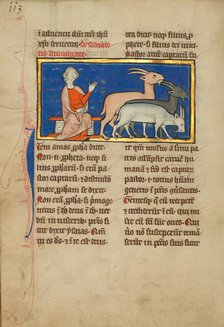 Amos and Three Goats; De Natura Avium; De Pastoribus et Ovibus, 1277 or after. Creator: Unknown.