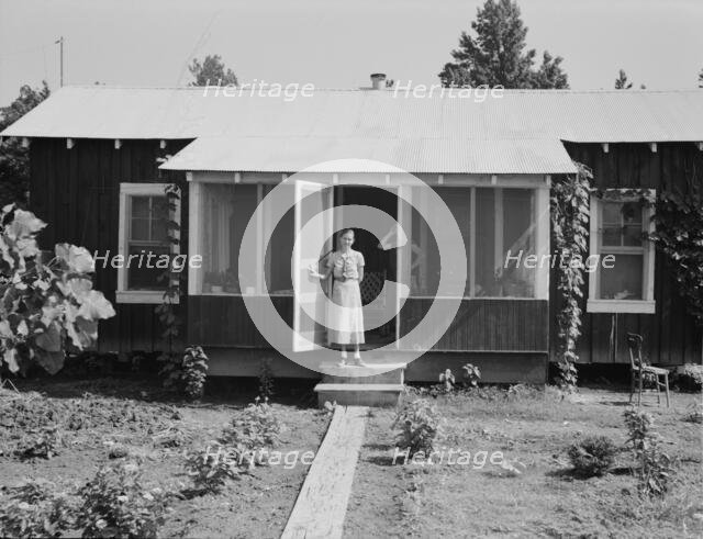 One of Delta cooperative farmsteads after a year of operation, Hillhouse, Mississippi, 1937. Creator: Dorothea Lange.