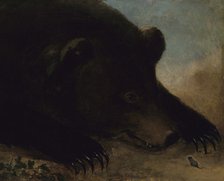 Portraits of a Grizzly Bear and Mouse, Life Size, 1846-1848. Creator: George Catlin.