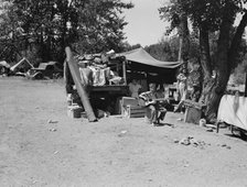 Camp of family with nine children...on the road for three years, Washington, Yakima Valley, 1939. Creator: Dorothea Lange.