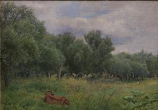 Willows at the edge of a meadow near Nyso, 1897. Creator: Niels Skovgaard.