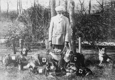 Maj. Richardson & British Red Cross dogs, between 1914 and c1915. Creator: Bain News Service.
