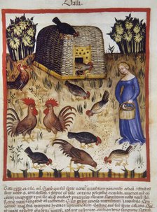 Roosters, 14th century.  Creator: Unknown.