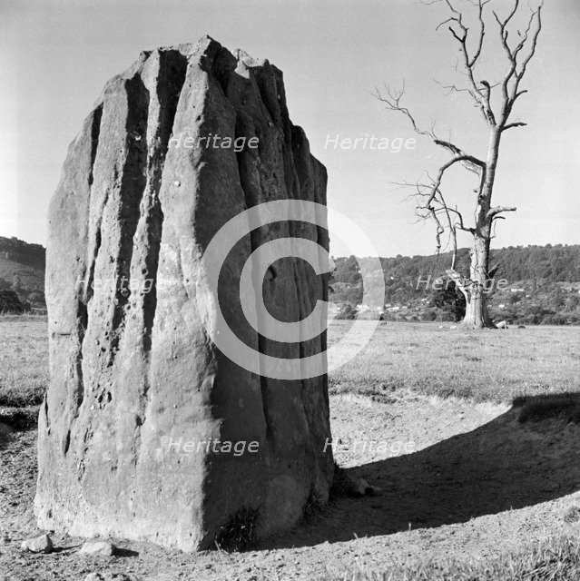 Standing stone in the Wye Valley, Wales, 1945-1980. Artist: Eric de Maré