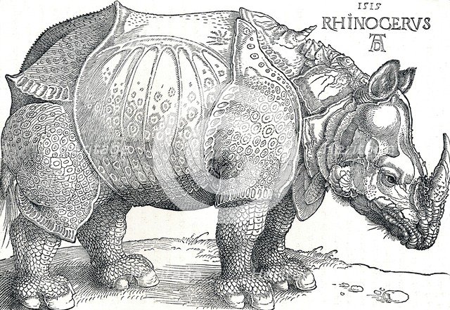 'A Rhinoceros', 1515, (1906). Artist: Albrecht Durer.