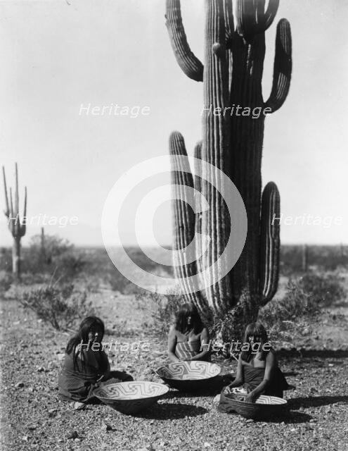 Saguaro gatherers, c1907. Creator: Edward Sheriff Curtis.