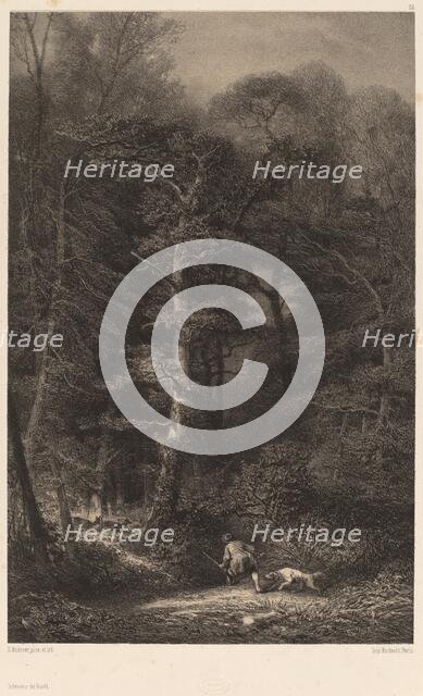 Intérieur de Forêt. Creator: Karl Bodmer.