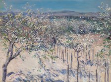 Apple orchard in bloom, Colombes, 1883. Creator: Caillebotte, Gustave (1848-1894).