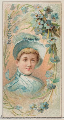 Forget-Me-Not, from the series Floral Beauties and Language of Flowers (N75) for Duke bran..., 1892. Creator: Donaldson Brothers.