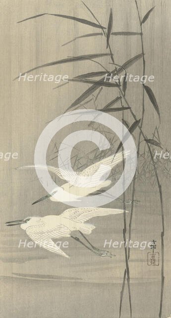 Two egrets in flight, Between 1910 and 1920. Creator: Ohara, Koson (1877-1945).