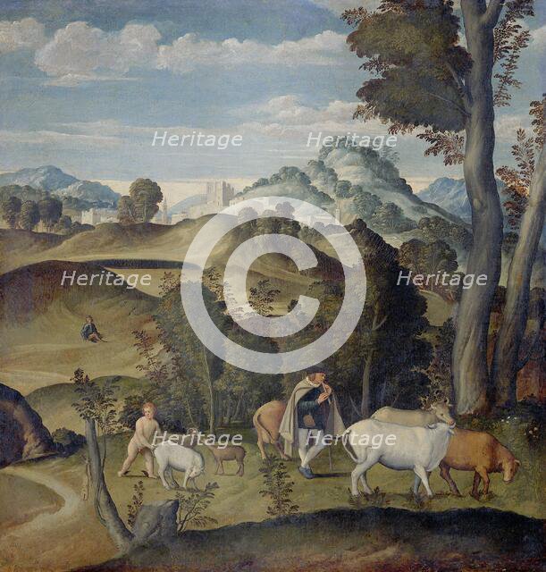 The Young Mercury Stealing Cattle from the Herd of Apollo, 1530-1550. Creator: Girolamo da Santacroce.