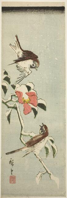 Sparrows and camellia in snow, 1840s. Creator: Ando Hiroshige.