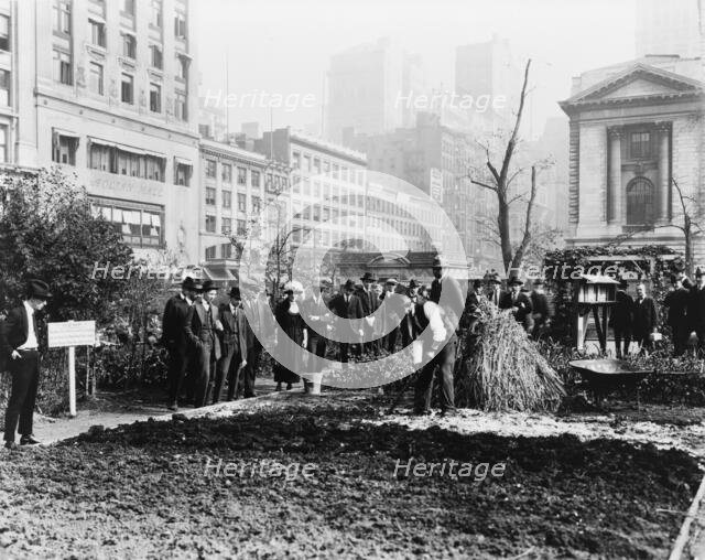 City experiment in gardening, New York City, c1922. Creator: Frances Benjamin Johnston.