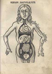 Margarita Philosophica. Anatomy, 1504. Artist: Reisch, Gregor (1467-1525)
