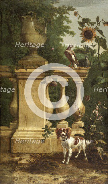 Pigeons and a dog in a garden, c1660-1690. Creator: Melchior d'Hondecoeter.