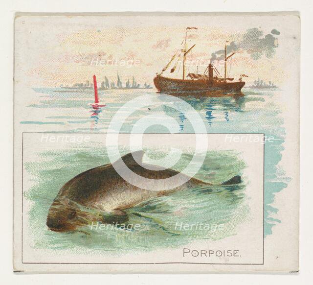 Porpoise, from Fish from American Waters series (N39) for Allen & Ginter Cigarettes, 1889. Creator: Allen & Ginter.