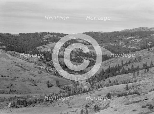 Upper end of Squaw Creek Valley..., Ola self-help sawmill co-op, Gem County, Idaho, 1939. Creator: Dorothea Lange.