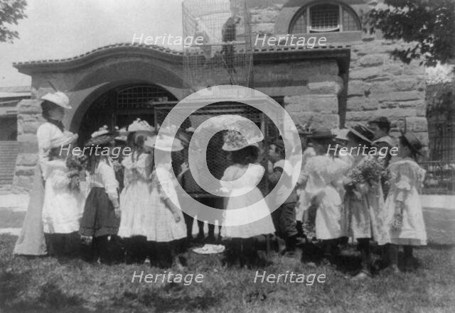 A class at the zoo - the bird cage, (1899?). Creator: Frances Benjamin Johnston.