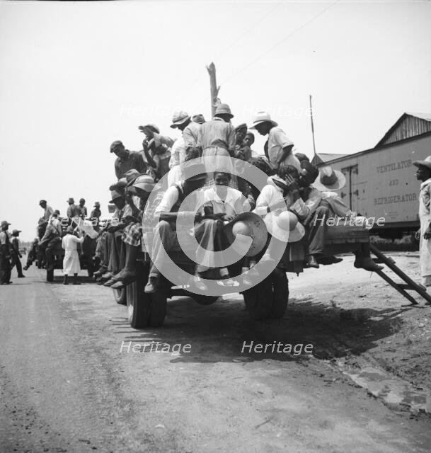 Peach pickers being driven to the orchards, Muscella, Georgia, 1936. Creator: Dorothea Lange.