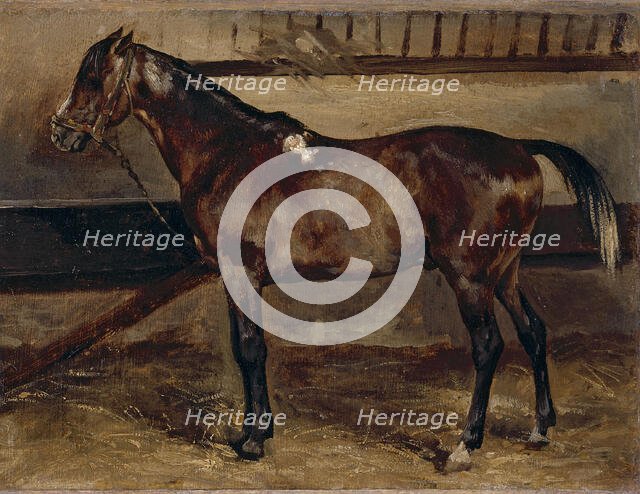 Brown horse in a stable, 1818. Creator: Theodore Gericault.