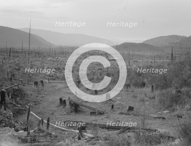 Another stump farm, fenced, showing general characteristics of..., Bonner County, Idaho, 1939. Creator: Dorothea Lange.