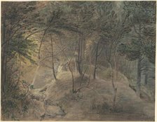 View from the Springhouse at Echo, c. 1808. Creator: William Russell Birch.